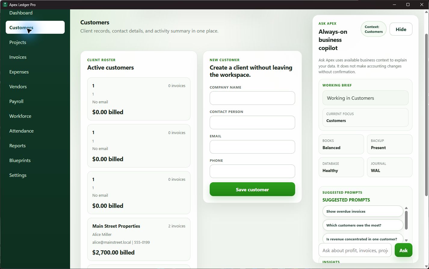 ApexLedgerPro customers workspace screenshot
