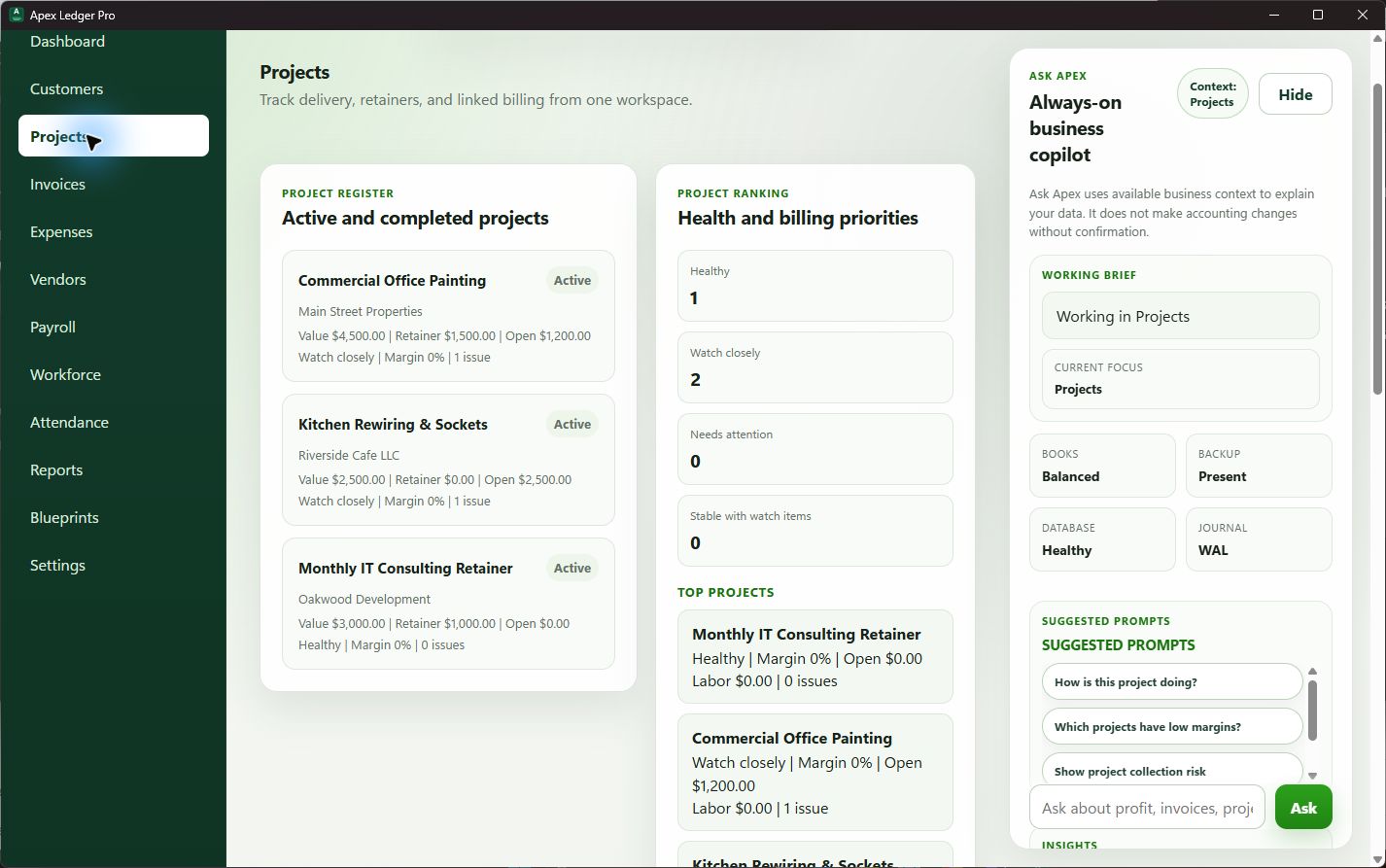 ApexLedgerPro projects workspace screenshot