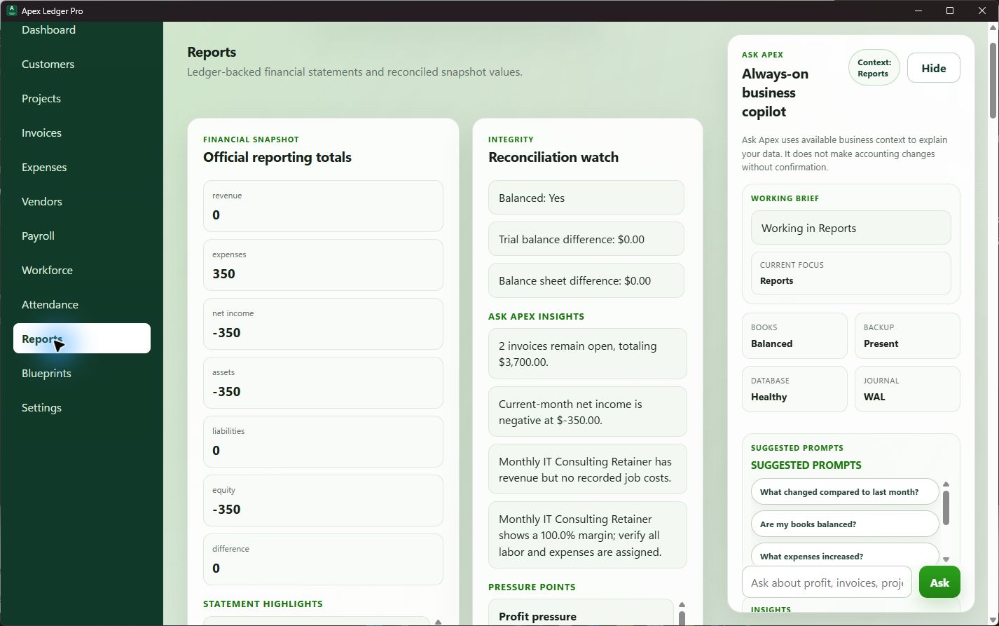 ApexLedgerPro reports workspace screenshot